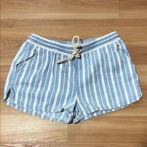 Aerie Light Blue Striped High Waist Shorts